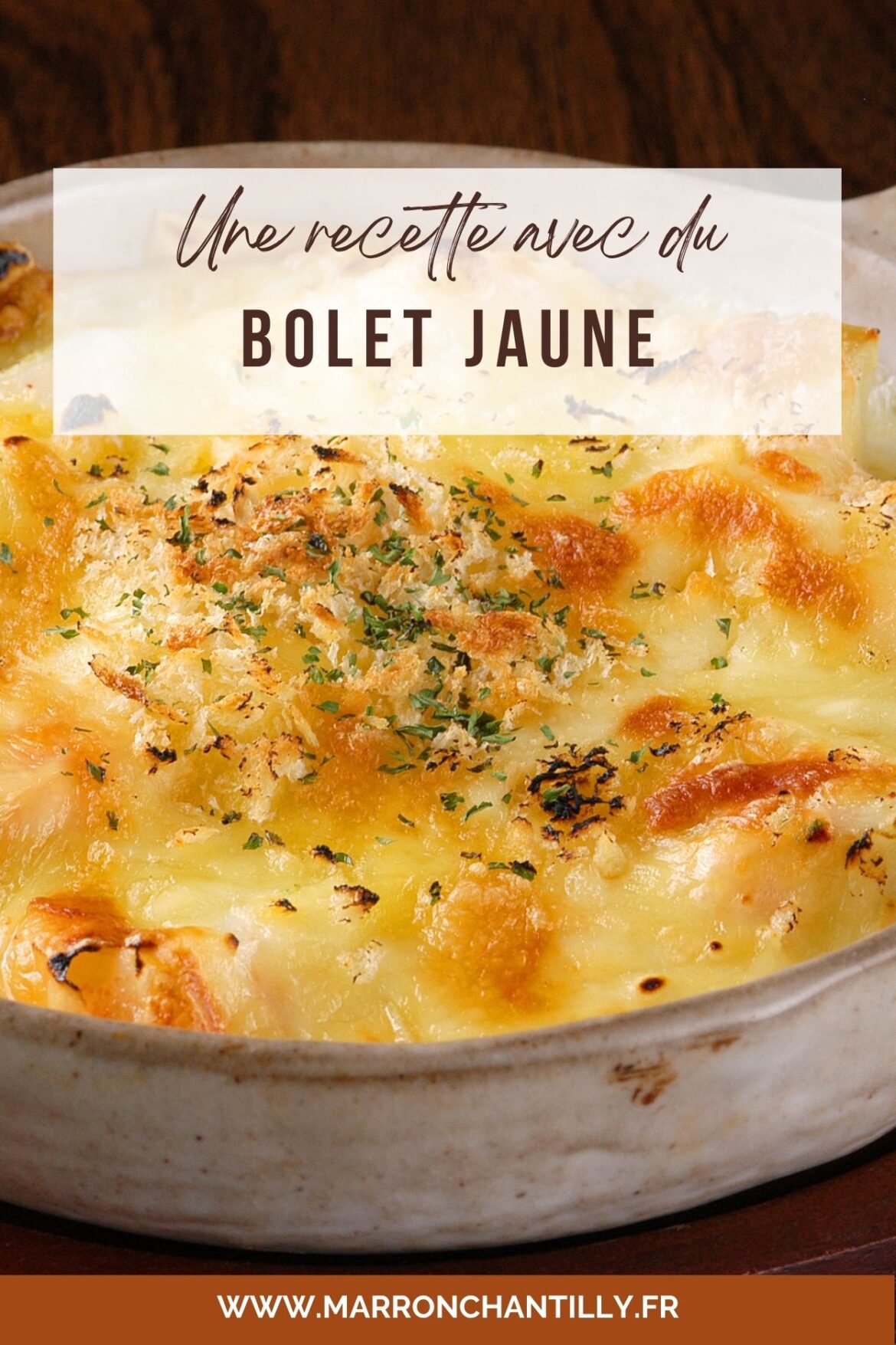 16 Julienne de bolet jaune