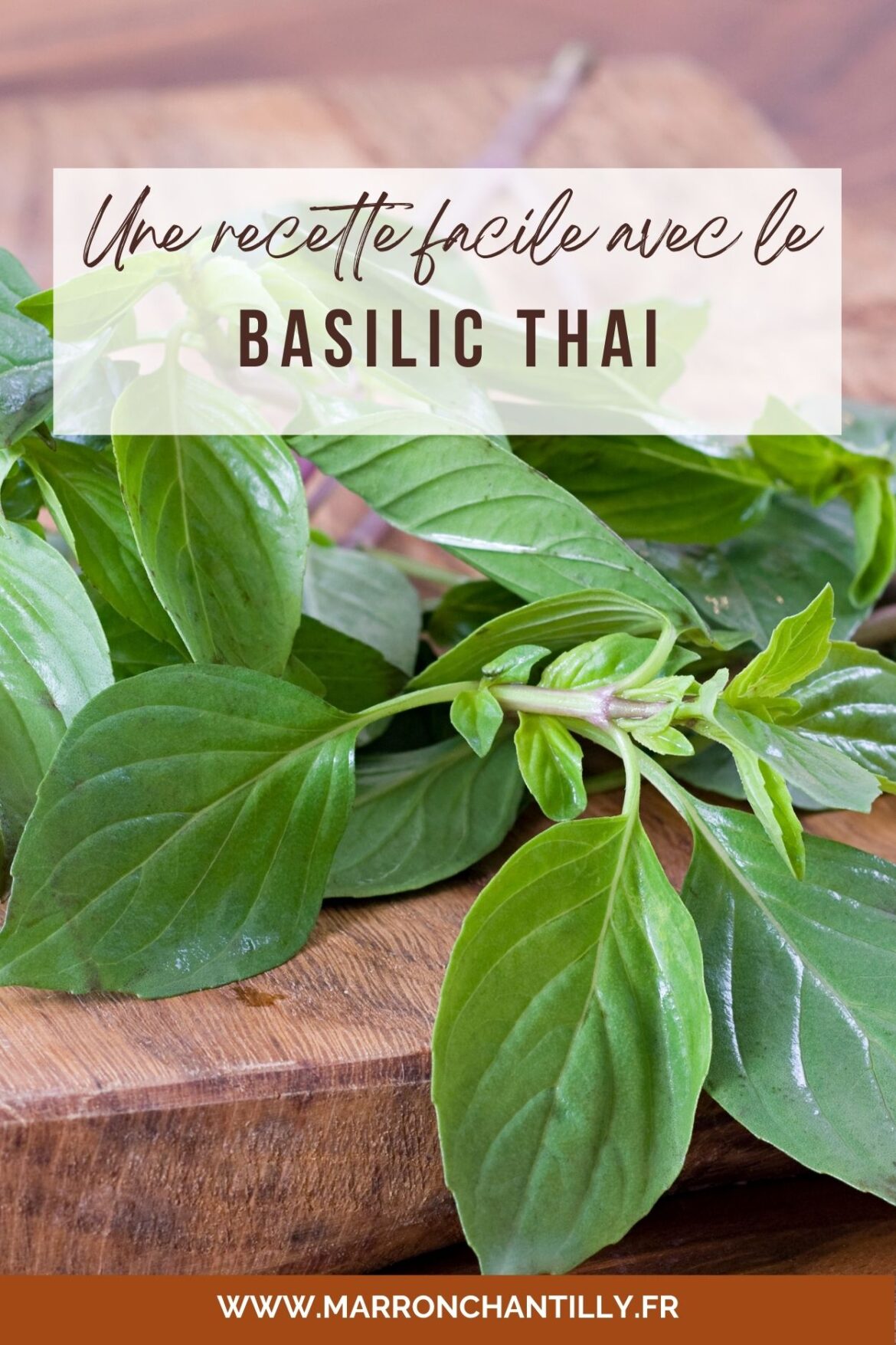basilic thai