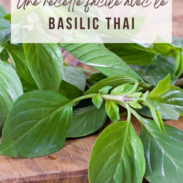 25 basilic thai